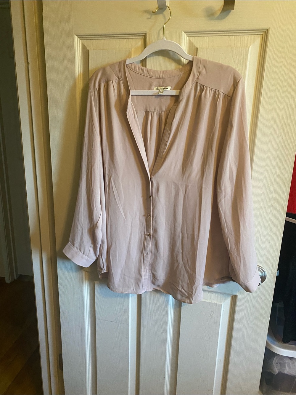 Women's Pale Pink V-Neck Button Blouse